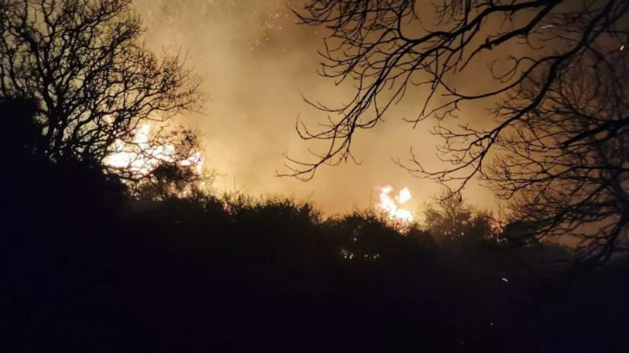 Συνελήφθη άνδρας για επτά πυρκαγιές στην Ακράτα Αχαΐας