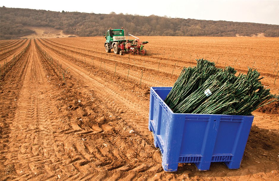 Έως 23 Μαΐου οι αιτήσεις για το πρόγραμμα αναδιάρθρωσης αμπελώνων