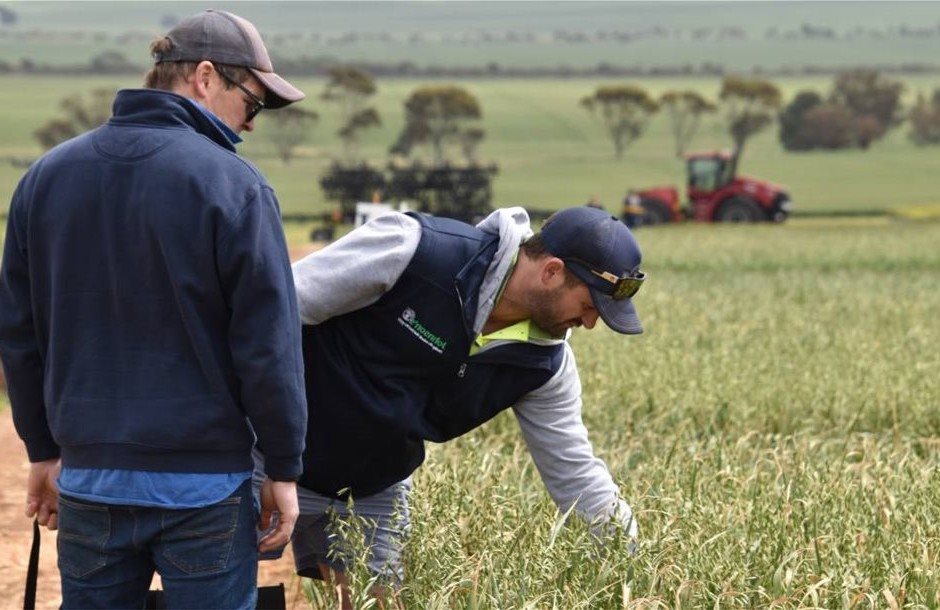 Από 9 Μαΐου φάκελος στις Επιχειρησιακές Ομάδες με πριμ 100% από 200.000 ευρώ