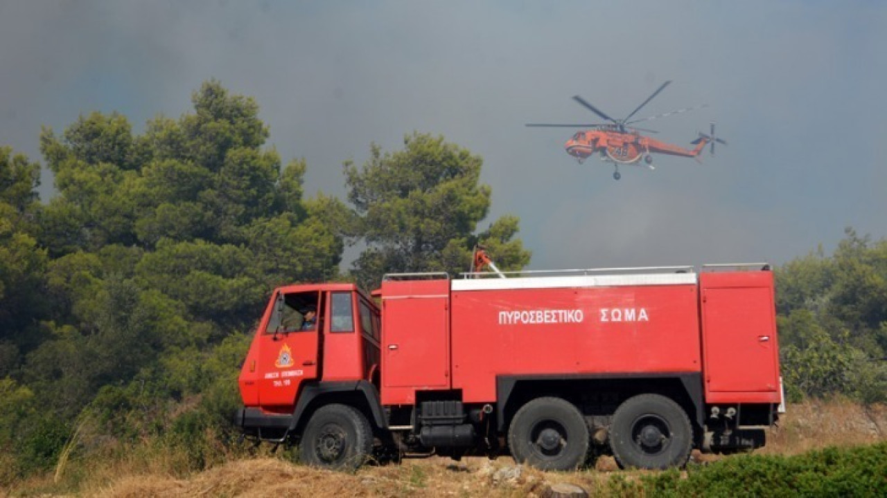Πυρκαγιά στην Ερμιόνη - Κινητοποιήθηκαν ισχυρές πυροσβεστικές δυνάμεις