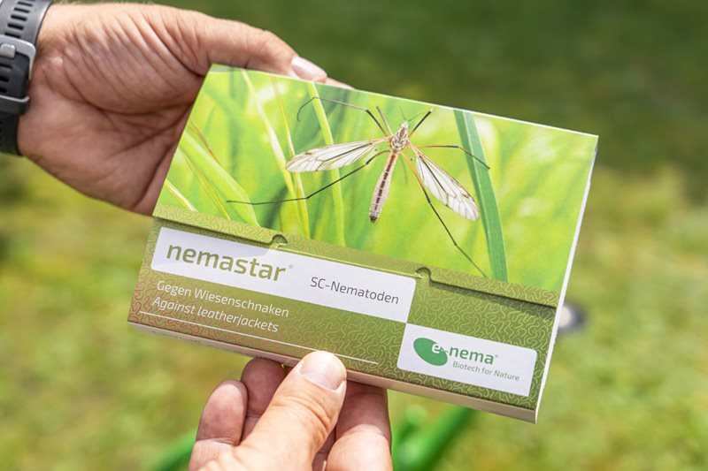 Στοχευμένες λύσεις εντομοπαθογόνων νηματωδών από Andermatt Anthesis για αντιμετώπιση ξυλοφάγων εντόμων