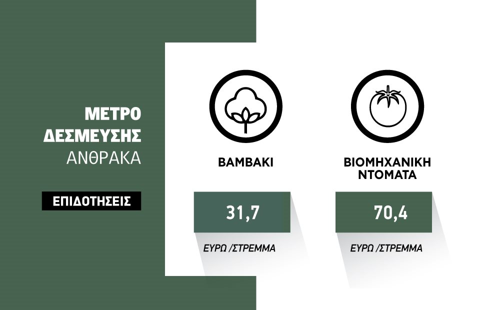 Θολό τοπίο με τα επιλέξιμα χωράφια στο μέτρο άνθρακα και τα πριμ των eco-schemes