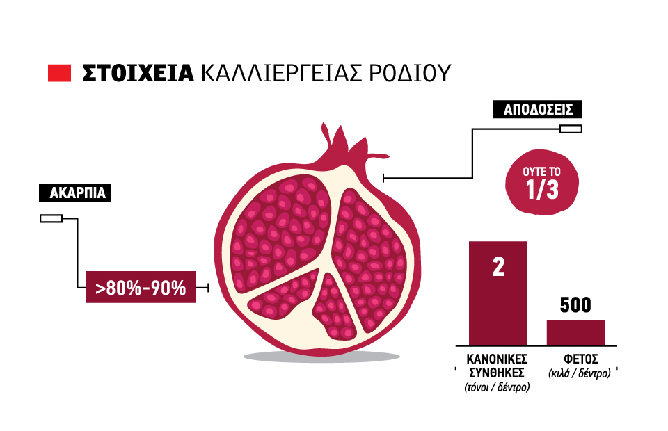 Με 30 λεπτά αλλά χωρίς ποσότητες το ρόδι, διαχείριση κρίσης φέτος