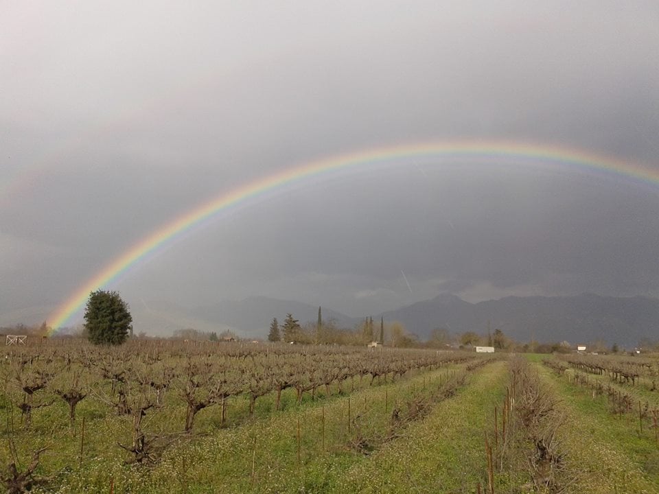 Η ιστορία ενός oικογενειακού oινοποιείου