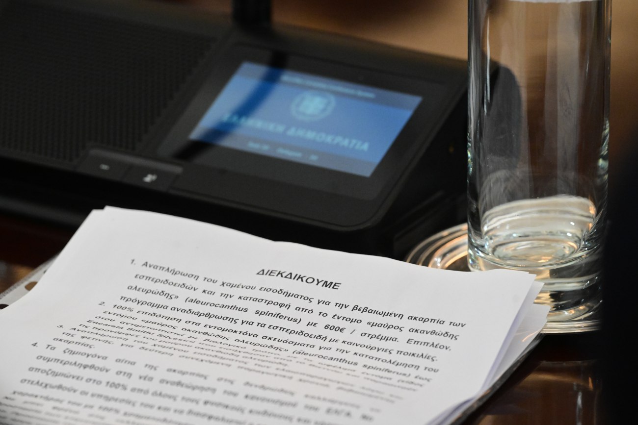 Με συνελεύσεις στα μπλόκα οι αγρότες αποφασίζουν τα επόμενα βήματα - «Απογοητευτική» η συνάντηση με Μητσοτάκη