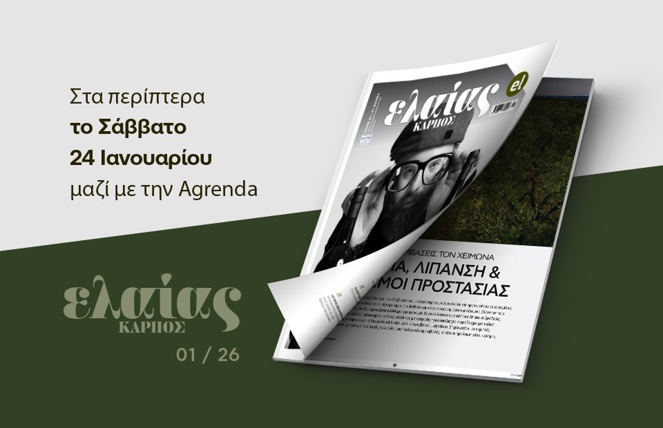 Ζητούνται σχήματα που θα φέρουν το ελληνικό ελαιόλαδο σε όλη τη γη