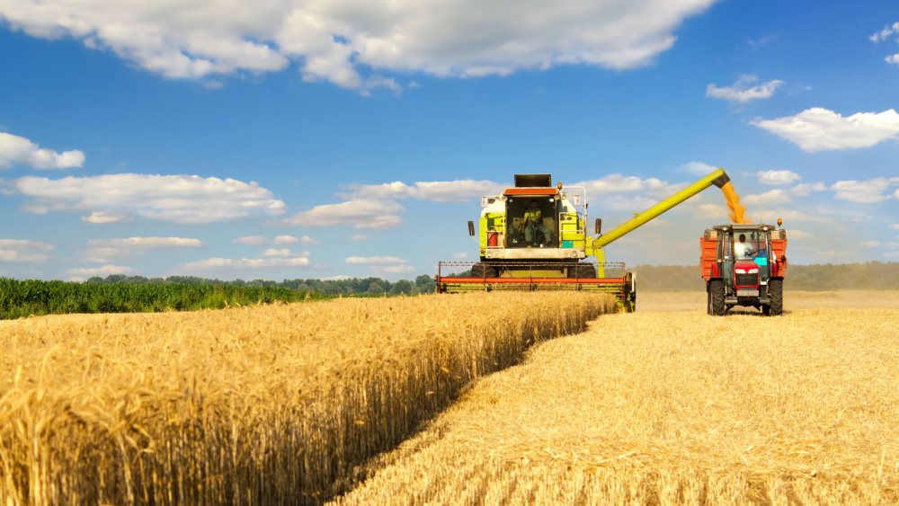 Ανέβηκε ο δείκτης τιμών FAO για το σύνολο 2025 παρά τις μειώσεις στο τέλος