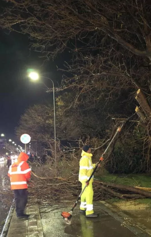 Αλεξανδρούπολη