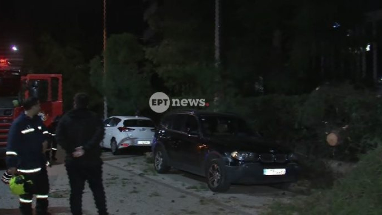 Χολαργός: Έπεσε δέντρο στη Μεσογείων – Ζημιές σε σταθμευμένο αυτοκίνητο