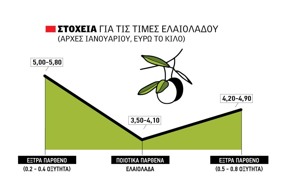 Ελαίας Καρπός
