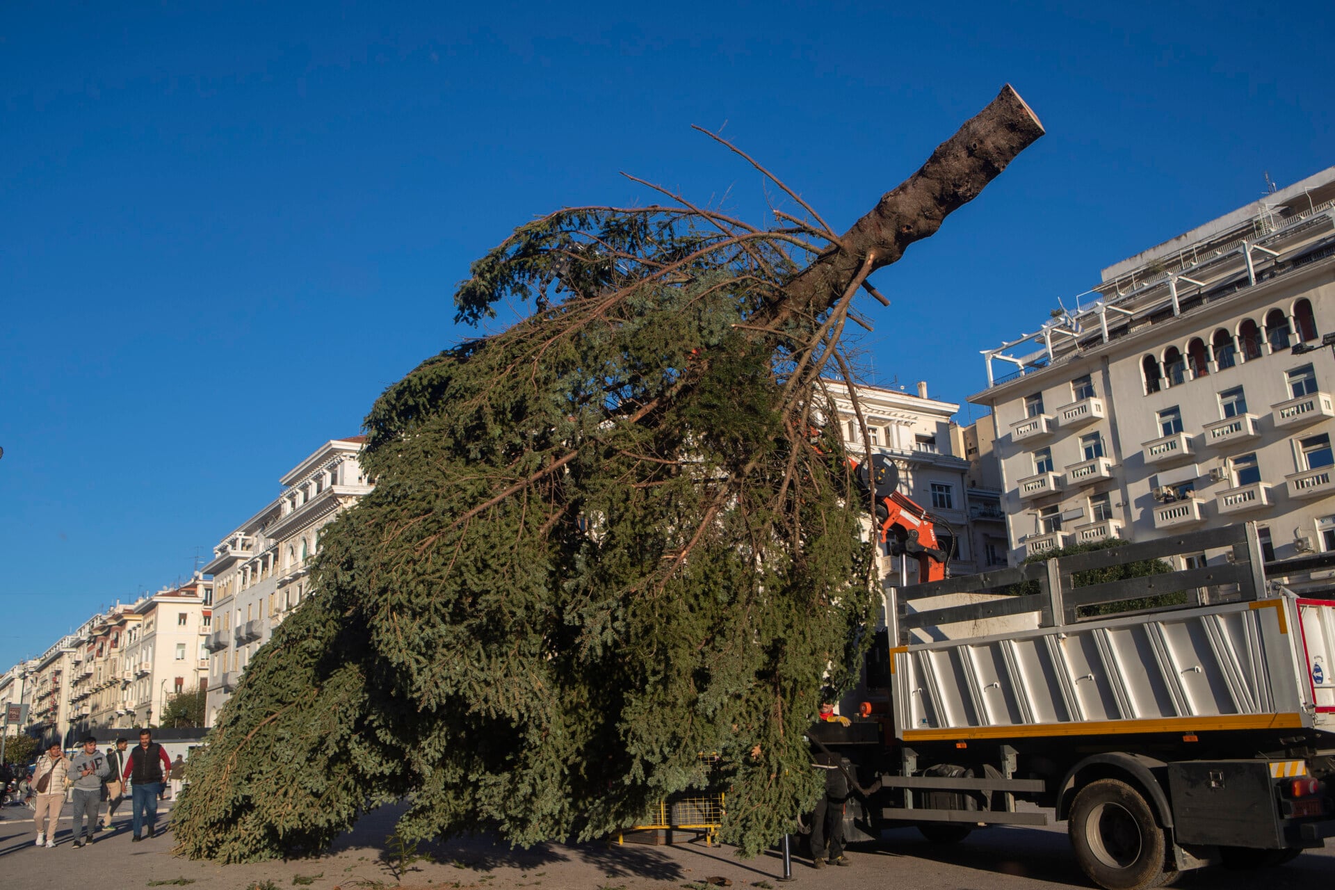 Αποκομιδή και ανακύκλωση των φυσικών χριστουγεννιάτικων δέντρων