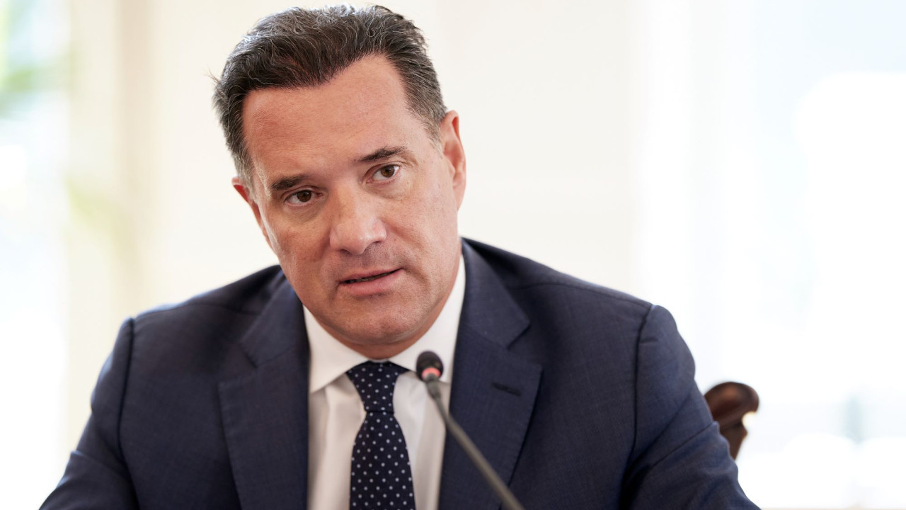 Γεωργιάδης στον ΣΚΑΪ: Τελείως ακροδεξιό το προφίλ της Καρυστιανού