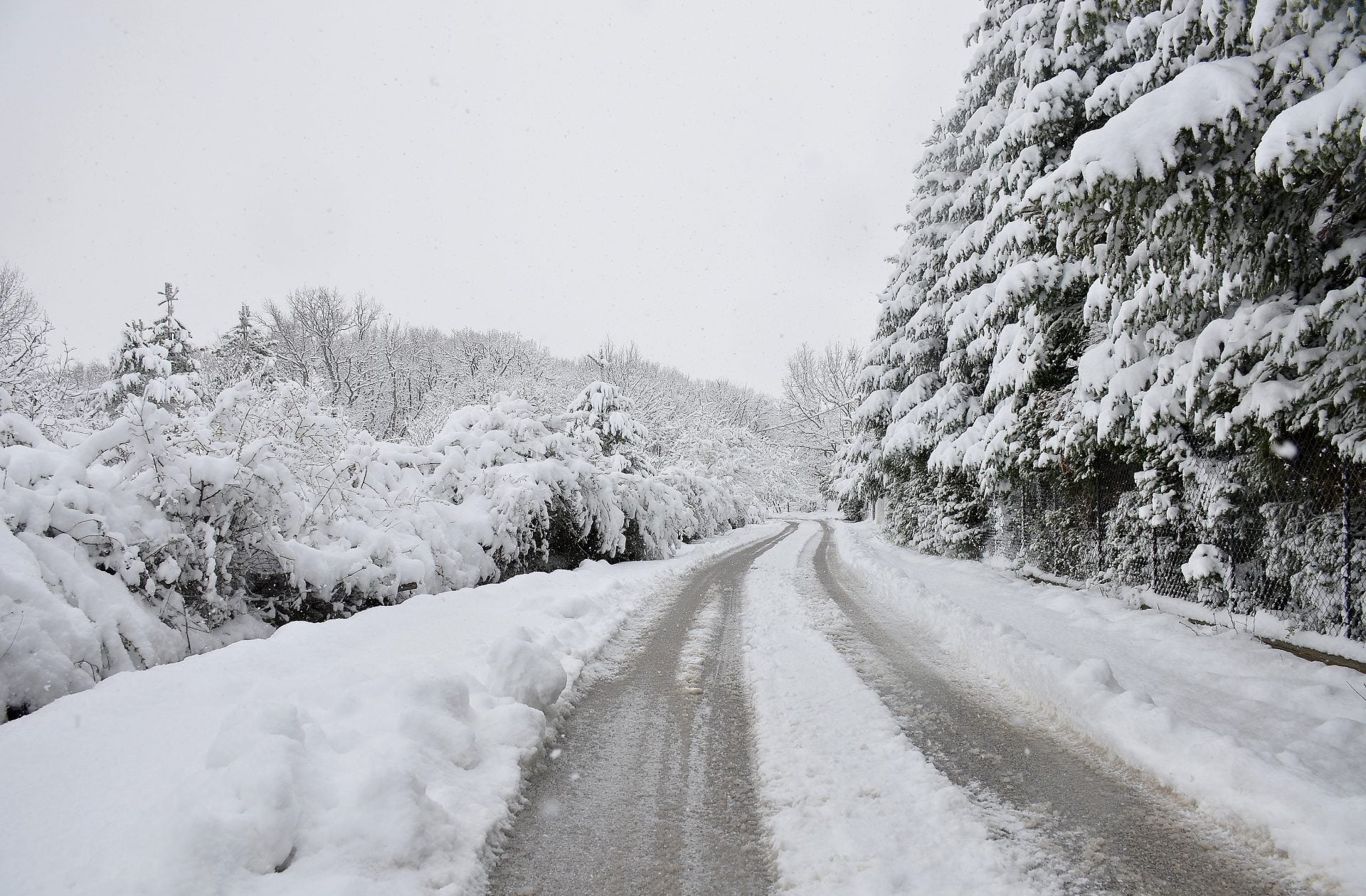 Κλειστά τα σχολεία σε Φλώρινα, Αμύνταιο και Πρέσπες τη Δευτέρα λόγω χιονόπτωσης