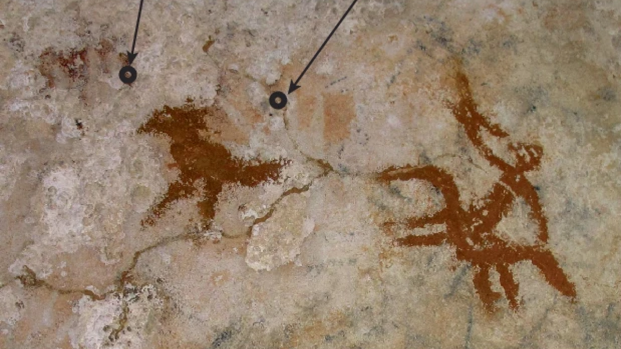 Ινδονησία: Οι αρχαιότερες βραχογραφίες στον κόσμο βρέθηκαν στην Κελέβη