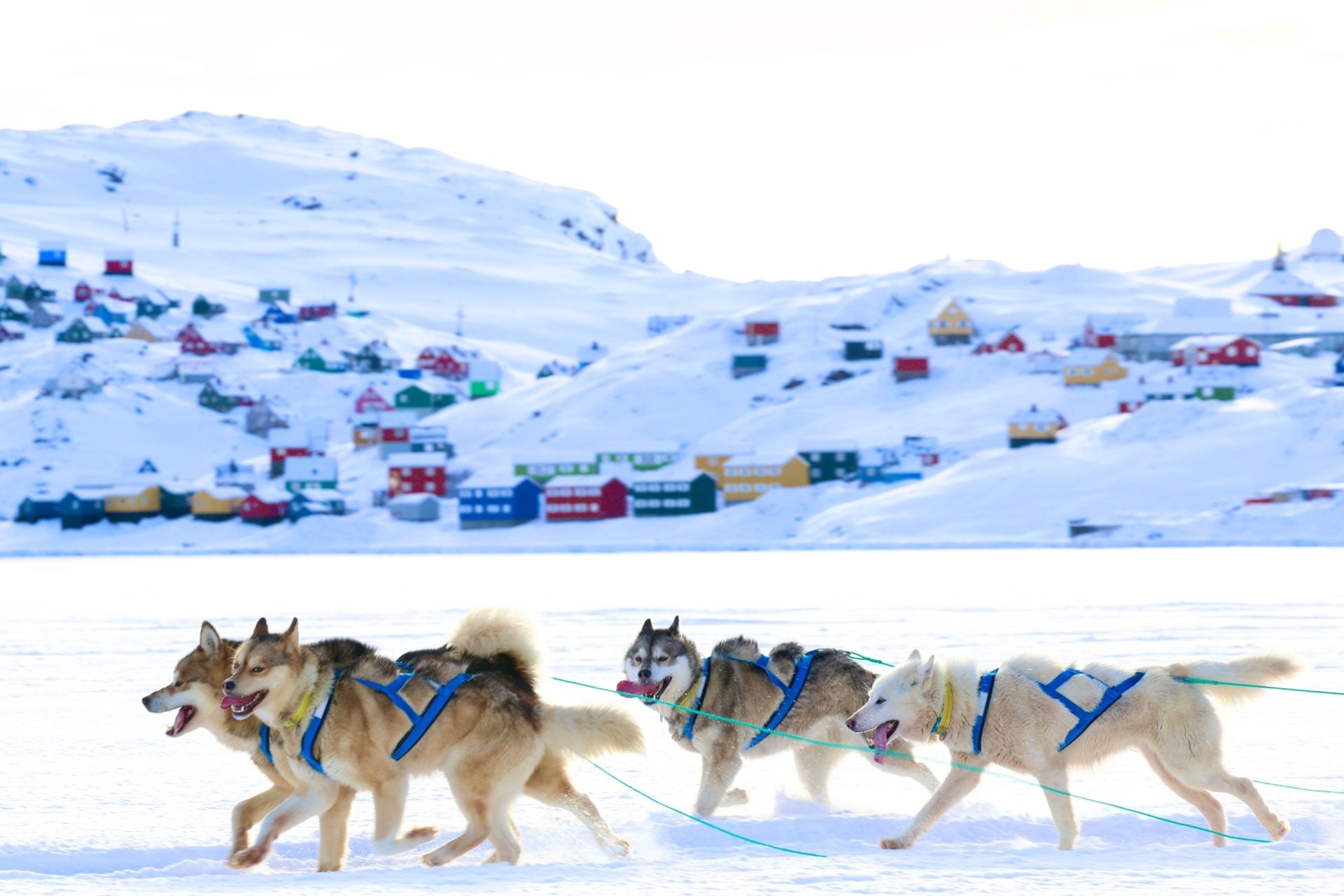 Η... άγνωστη επιλογή της Ευρώπης αν ο Τραμπ εισβάλει στη Γροιλανδία