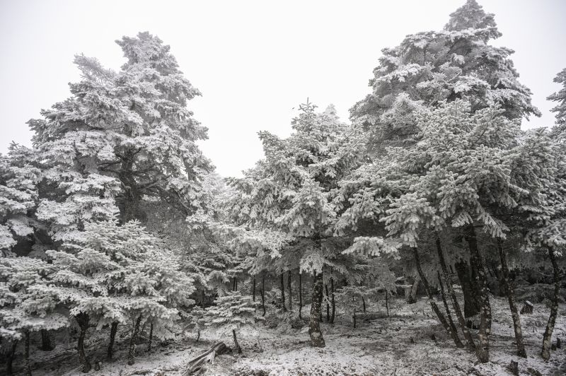 Άνοδος της θερμοκρασίας με παροδικές νεφώσεις και ασθενείς χιονοπτώσεις – News.gr