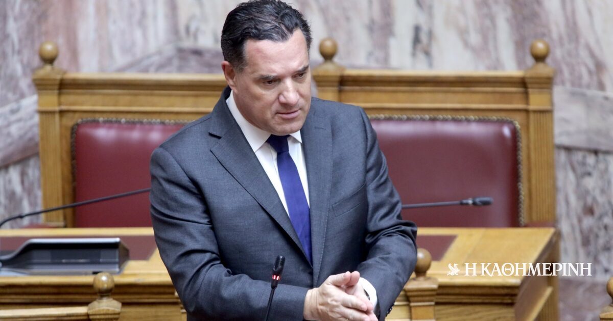 Αδ. Γεωργιάδης: Η μήνυση από την Κωνσταντοπούλου και οι αιχμές μέσω Καρυστιανού