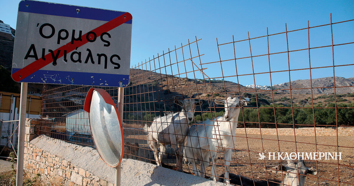 Τα πολλά «μικρά ψάρια» του ΟΠΕΚΕΠΕ
