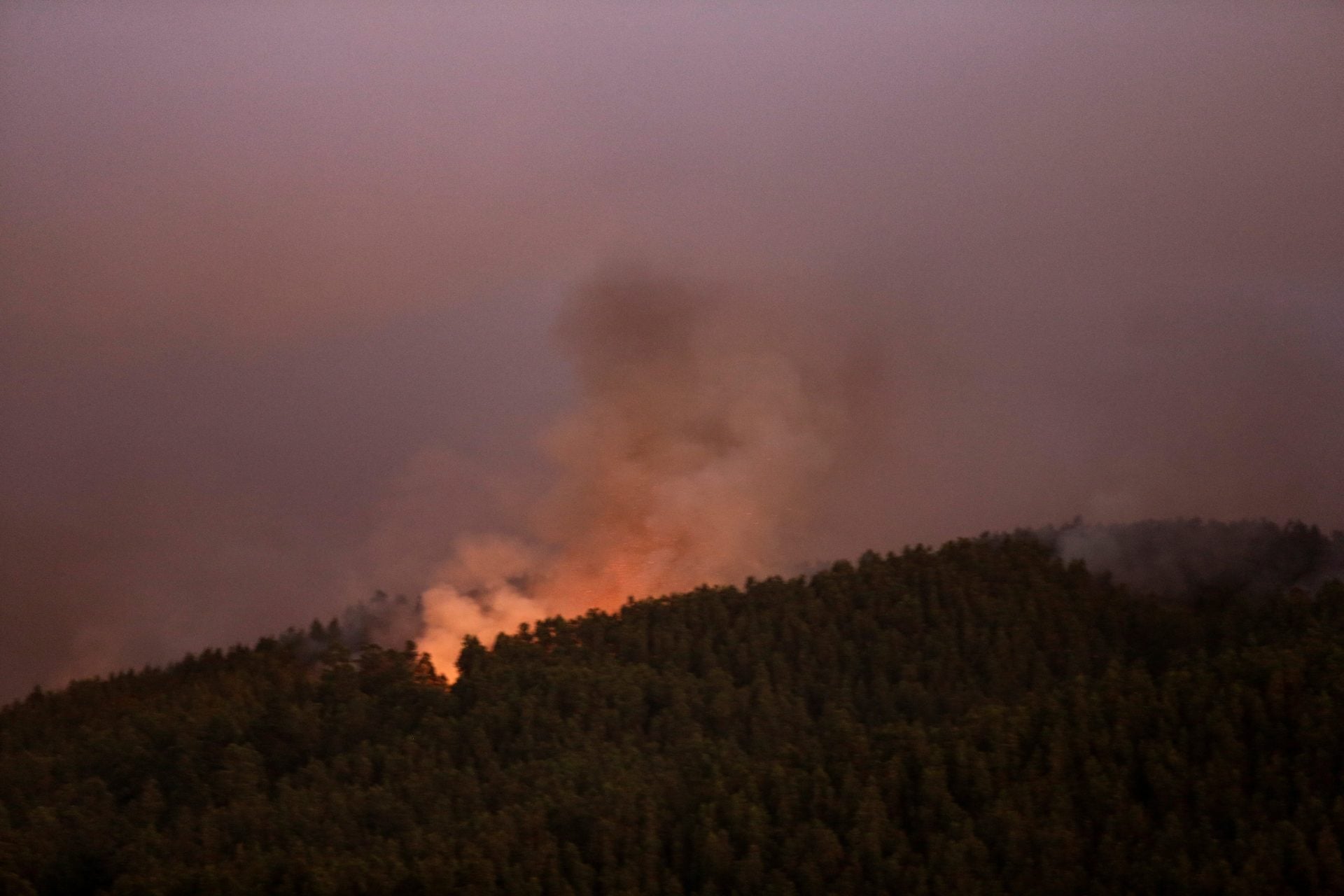 Χιλή: 19 νεκροί από πυρκαγιές εν μέσω ακραίας ζέστης