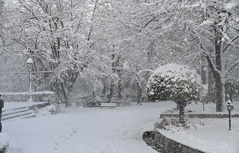 Με πολύ χαμηλές θερμοκρασίες μπήκε το 2026 – Χιόνια ακόμη και στην Αττική – News.gr