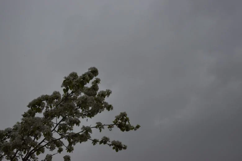 Ο καιρός της Τετάρτης 7ης Ιανουαρίου 2026 – News.gr