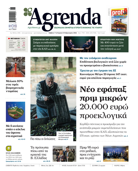 Κρατικός προστατευτισμός και αποθέματα αναβάλλουν την αντίδραση στο βαμβάκι