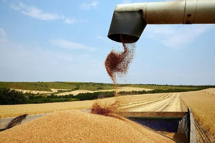 Σε αδιέξοδο αγρότες και βιομηχανία της ΕΕ από τα ασύμφορα κόστη για «πρασινοποίηση» προσφοράς χωρίς ζήτηση