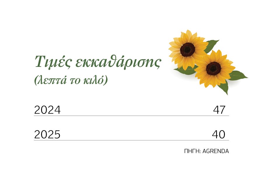 ∆εν αρέσει και πολύ  το περσινό 40άλεπτο στους αγρότες για τον ηλίανθο