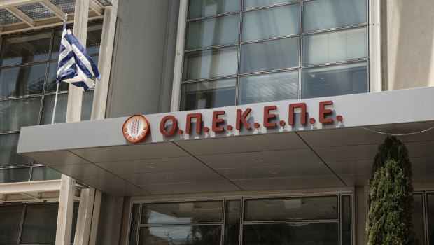 ΣΥΡΙΖΑ: Αποκάλυψη-«βόμβα» Κόκκαλη - Έγγραφο του ΟΠΕΚΕΠΕ δείχνει επιδοτήσεις σε 29.000 «κτηνοτρόφους» χωρίς παραγωγή