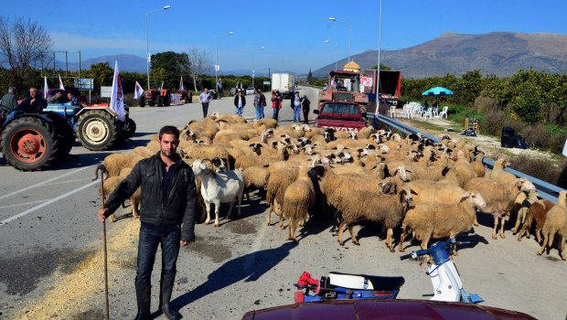 ΣΥΡΙΖΑ: Η κυβέρνηση Μητσοτάκη ξεκληρίζει συνειδητά την ελληνική κτηνοτροφία