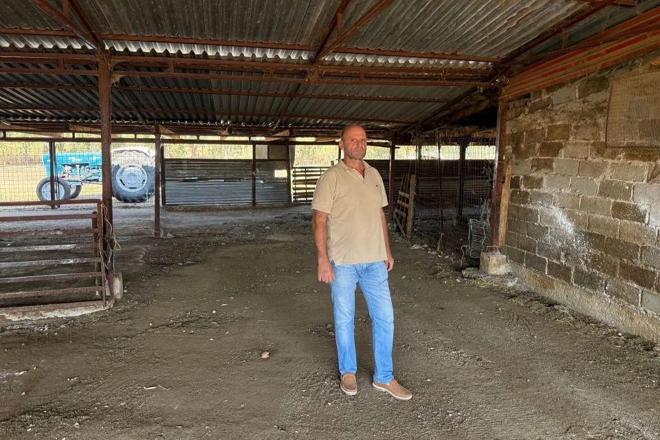Έως 23 Φεβρουαρίου οι δηλώσεις προβατοτρόφων για ανωτέρα βία το 2025 λόγω θανάτωσης κοπαδιού