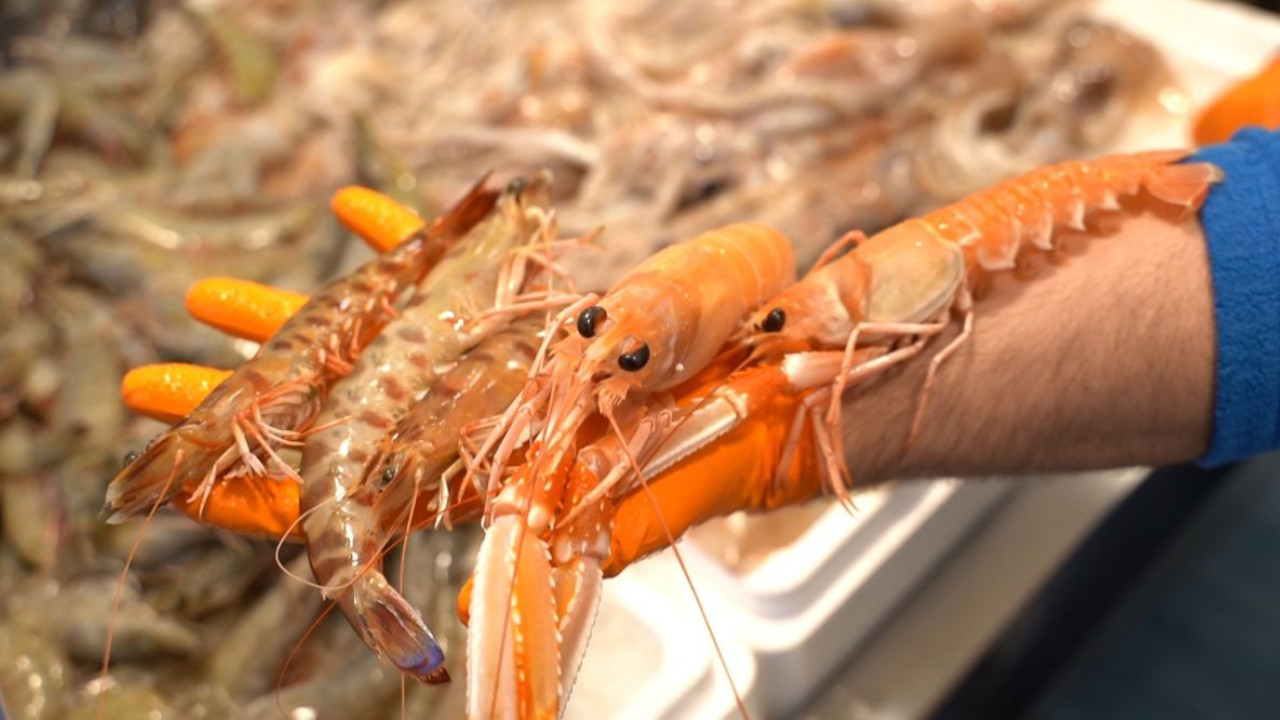 «Όπου Υπάρχει Ελλάδα»: Καθαρά Δευτέρα με έθιμα από όλη την Ελλάδα