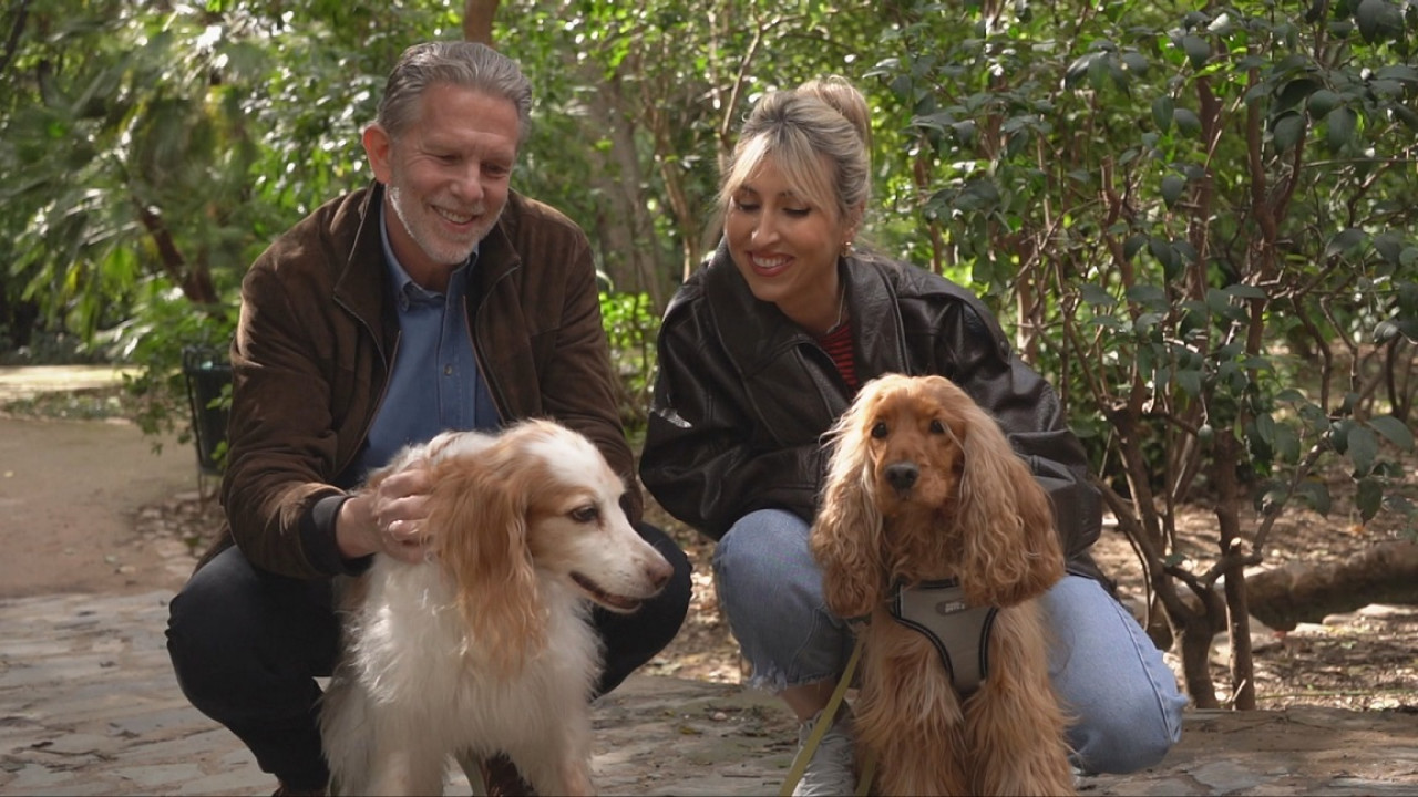 Pet Stories: Στην παρέα Παύλος Γερουλάνος και η Φίλη