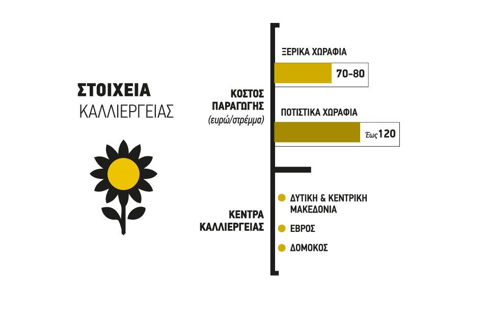 Με ασφαλή επιλογή μοιάζει ο ηλίανθος εάν παίξουν από 40 λεπτά τα νέα συμβόλαια