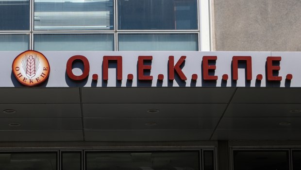 Νέα Αριστερά: Μετά το έγγραφο Βάρρα μονόδρομος η προανακριτική για τον ΟΠΕΚΕΠΕ