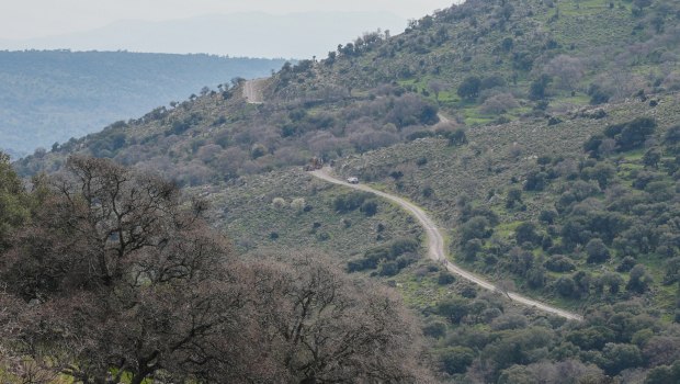 ΠΑΣΟΚ: Απέτυχε το υπουργείο Αγροτικής Ανάπτυξης - Η κυβέρνηση αφήνει απροστάτευτη την ελληνική κτηνοτροφία