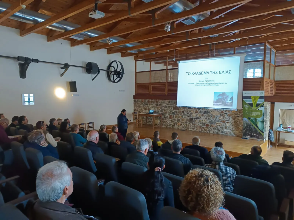 Επενδύει στην κατάρτιση των ελαιοπαραγωγών η Περιφέρεια Κρήτης