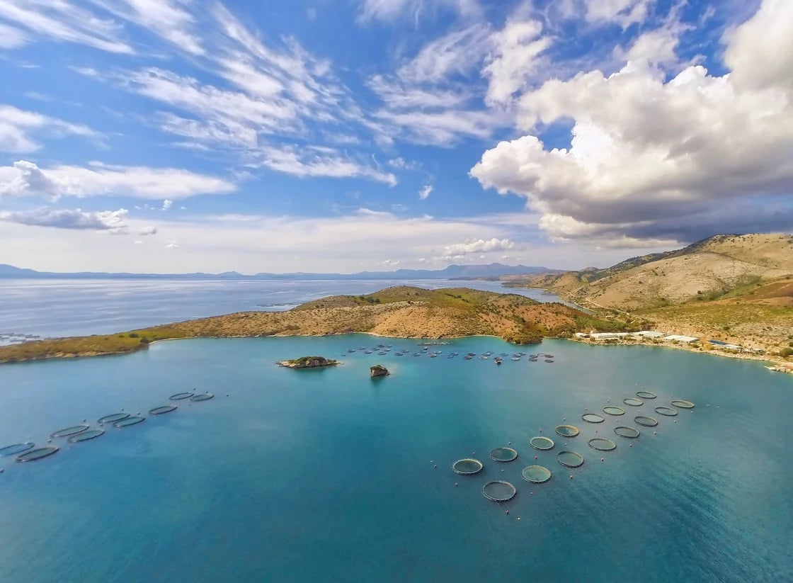 Η προκαταρκτική συμφωνία της Cooke για την απόκτηση του χρέους