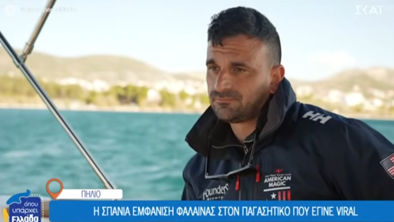 Όπου υπάρχει Ελλάδα: Η σπάνια εμφάνιση φάλαινας στον Παγασητικό που έγινε viral