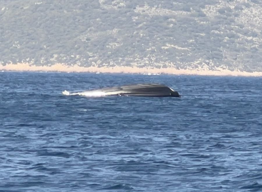 Το Λιμενικό για την ανατροπή και βύθιση σκάφους της FRONTEX