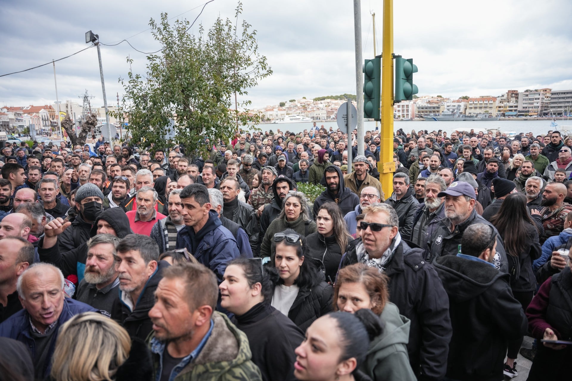 Ζητά άμεση παρέμβαση της Κομισιόν για τον αφθώδη πυρετό