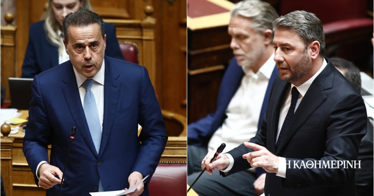Μετωπική Παπασταύρου με Ανδρουλάκη στη Βουλή: «Το εθνικό είναι το αληθές»