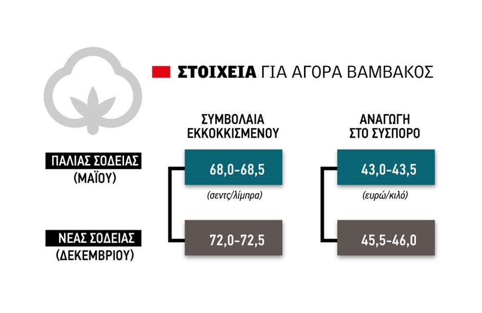 Μικρή διόρθωση στην τιμή του βάμβακος δεν ανακόπτει τις ελπίδες για ανοδικό ράλι