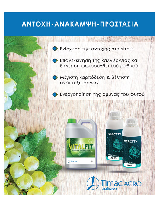 Νέα εφαρμογή για δηλώσεις ΟΣΔΕ… αφήνει πίσω τα ΚΥΔ, στις Βρυξέλλες ο Μ. Σχοινάς