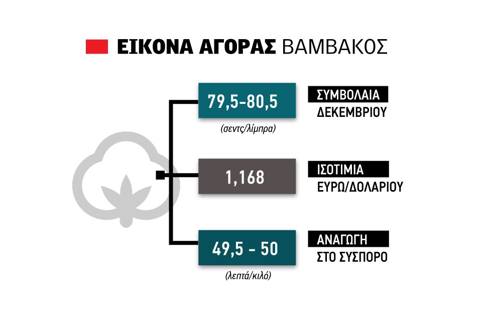 Νέα άνοδος για το βαμβάκι μετά τη διόρθωση, 50 λεπτά δίνει αναγωγή στο σύσπορο
