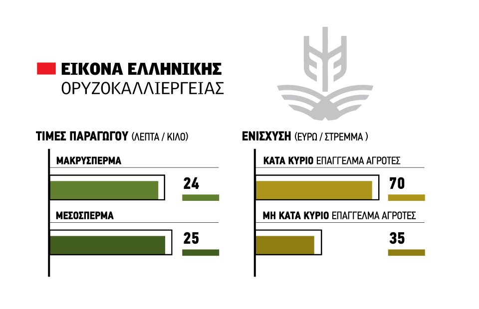 Στη σφαίρα του θεωρητικού μένει η ενίσχυση de minimis 70 ευρώ το στρέμμα στο ρύζι