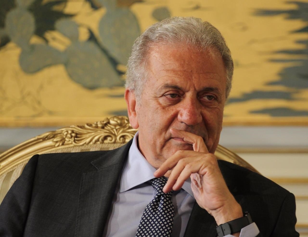 Δ. Αβραμόπουλος: Ευρωπαϊκή Άμυνα - Γαλλική πρωτοβουλία, ελληνική στρατηγική αξία