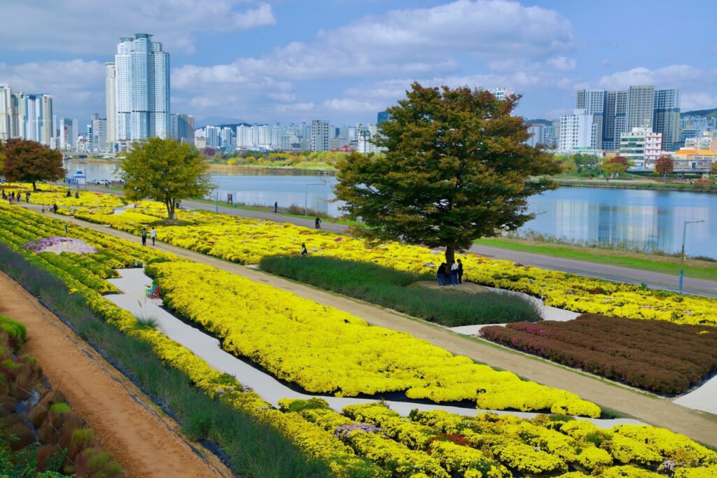 Μας κάνουν τα χρήματα ευτυχισμένους; Η πλουσιότερη πόλη της Νότιας Κορέας αμφιβάλλει έχοντας υψηλά ποσοστά κατάθλιψης