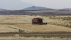 Πληρώθηκαν το ποσό των 19,8 εκατ. ευρώ σε 57.000 αγρότες