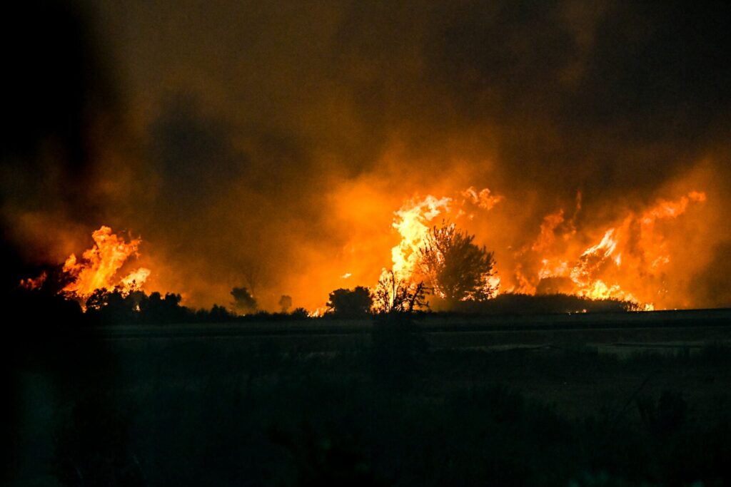 2 συλλήψεις για σε Κορινθία και Αχαΐα – Βαριά πρόστιμα